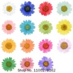 Enacpsulated 3D Dried Flowers 12 Pack